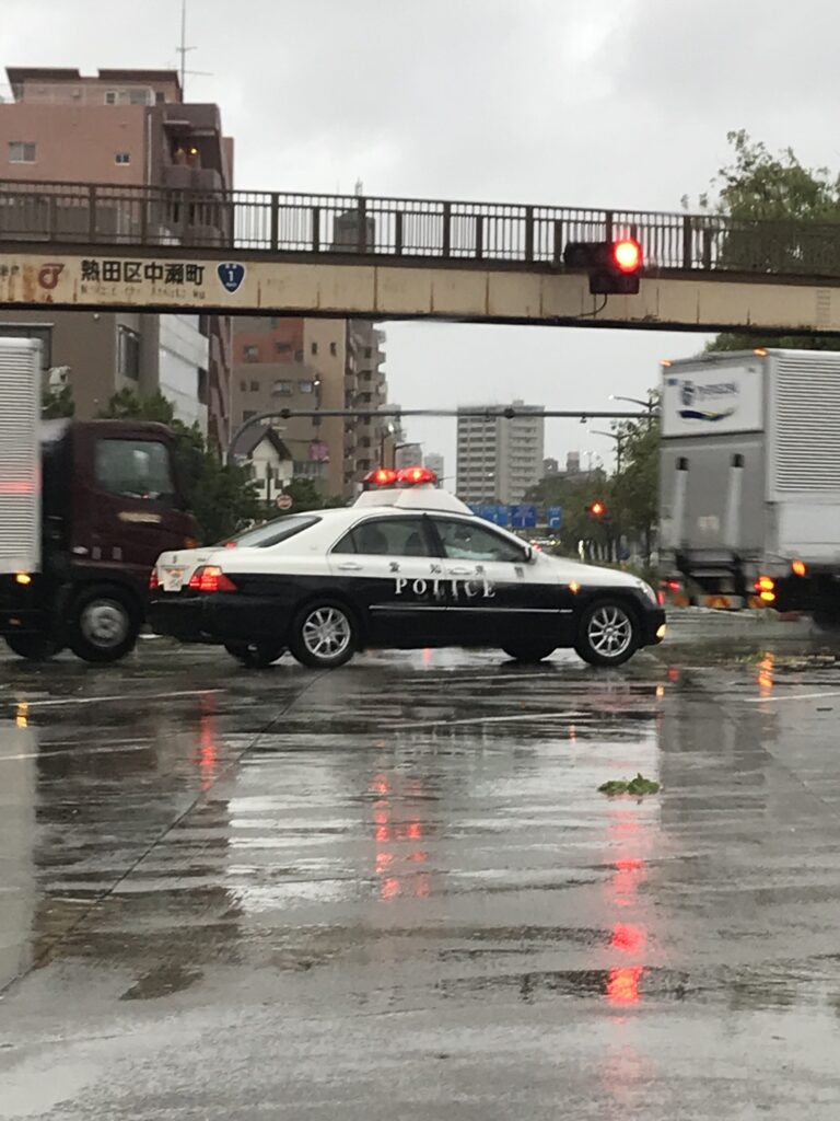 折れた木を撤去しているパトカー